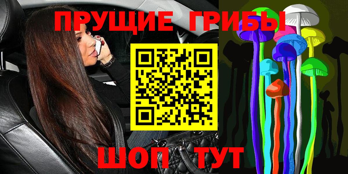 Псилоцибиновые грибы GOLDEN TEACHER  Вход с VPN  Липецк  Псилоцибиновые грибы GOLDEN TEACHER 
